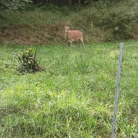 アパート U Joli *