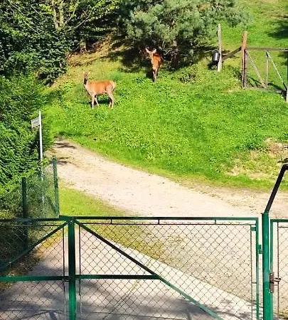 U Joli Lägenhet Piwniczna-Zdroj