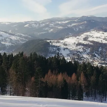 U Joli アパート Piwniczna-Zdroj