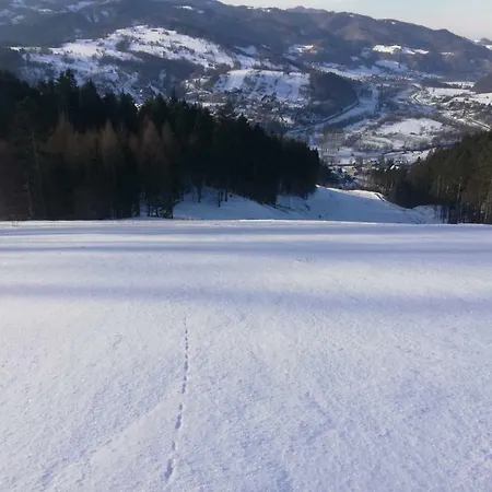 U Joli アパート Piwniczna-Zdroj