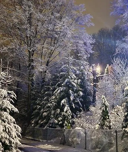 Apartament U Joli Piwniczna-Zdroj