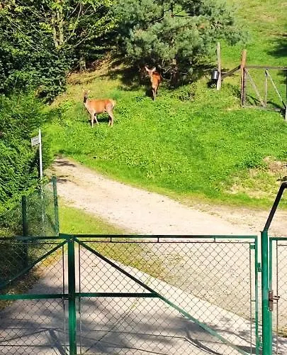 U Joli شقة Piwniczna-Zdroj