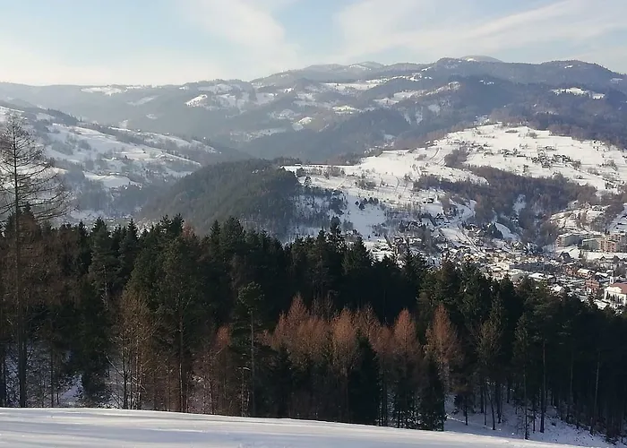 U Joli Apartament Piwniczna-Zdroj